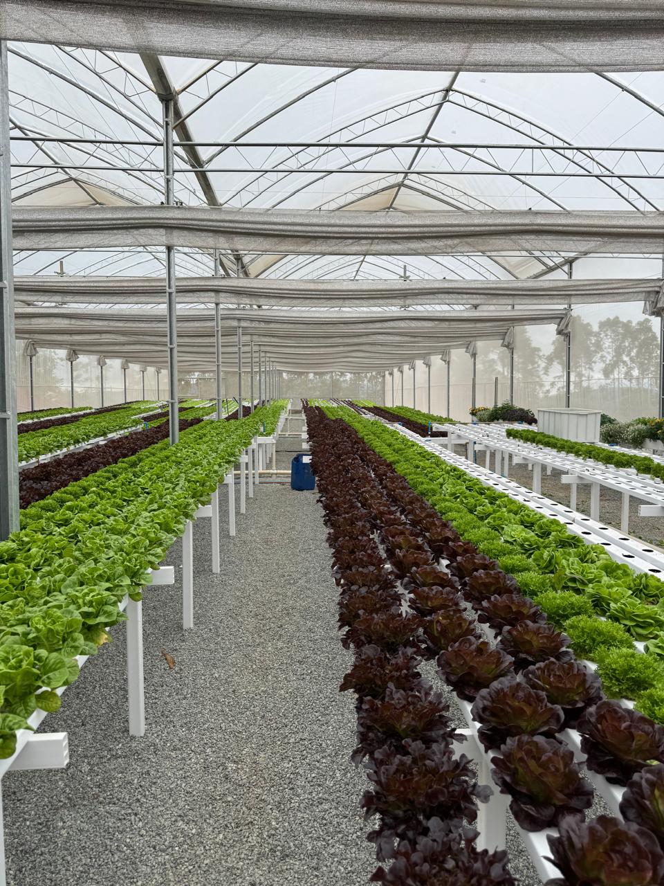 Imagem de capa do card